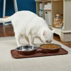 Frisco Silicone Stainless Steel Double Diner Dog & Cat Bowl, Brown 10 Frisco Silicone Stainless Steel Double Diner Dog & Cat Bowl, Brown -Frisco Sales Store 277551 PT3. AC SS1800 V1630348104