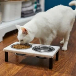 Frisco Marble Elevated Stainless Steel Double Diner Dog & Cat Bowls -Frisco Sales Store 277559 PT3. AC SS1800 V1630347820