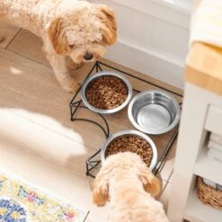 Frisco Multi Pet Feeding Corner 3-Bowls Stainless Steel Dog & Cat Bowl -Frisco Sales Store 277561 PT2. AC SS1800 V1630346973