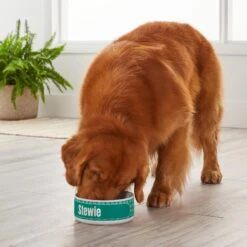 Frisco General Pet Ceramic Personalized Dog & Cat Bowl -Frisco Sales Store 278922 PT3. AC SS1800 V1629147409