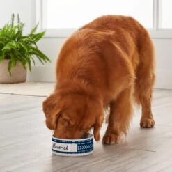 Frisco Personalized Mudcloth Dog Bowl -Frisco Sales Store 278934 PT3. AC SS1800 V1629147418