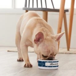 Frisco Personalized Mudcloth Small Dog & Cat Bowl -Frisco Sales Store 278936 PT3. AC SS1800 V1629147692