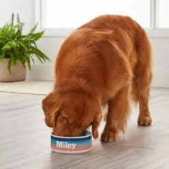 Frisco Personalized Watercolor Dog Bowl -Frisco Sales Store 278942 PT3. AC SS1800 V1629147399