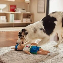 Frisco Gym Teacher Plush Squeaky Dog Toy -Frisco Sales Store 279447 PT3. AC SS1800 V1628191161