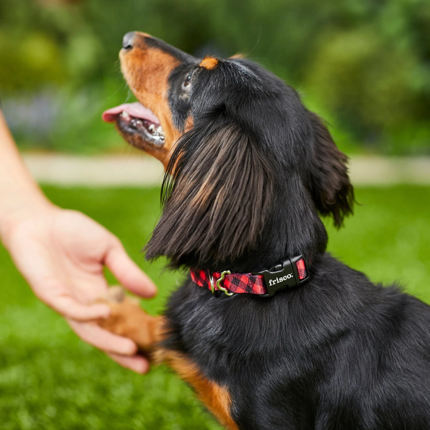 Frisco Buffalo Check Polyester Personalized Dog Collar 5 Frisco Buffalo Check Polyester Personalized Dog Collar - Image 5