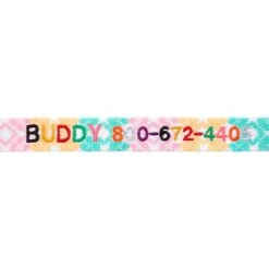 Frisco Pastel Tie Dye Polyester Personalized Dog Collar -Frisco Sales Store 280770 PT2. AC SS1800 V1621540643