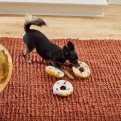 Frisco Fall Maple Bacon Donuts Plush Squeaky Dog Toy, 3 Count -Frisco Sales Store 285613 PT3. AC SS1800 V1629725241