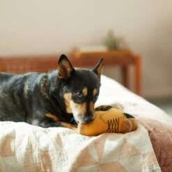 Frisco Fall Boot Plush Squeaky Dog Toy 5 Frisco Fall Boot Plush Squeaky Dog Toy -Frisco Sales Store 285619 PT3. AC SS1800 V1629724969