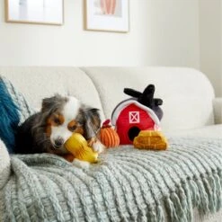 Frisco Fall Farmhouse Hide & Seek Puzzle Plush Squeaky Dog Toy -Frisco Sales Store 285629 PT3. AC SS1800 V1629725107