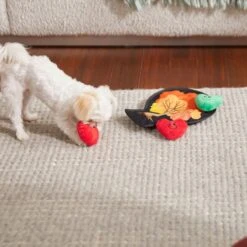 Frisco Fall Autumn Tree With Apples Interactive Plush Squeaky Dog Toy, 4 Count 5 Frisco Fall Autumn Tree With Apples Interactive Plush Squeaky Dog Toy, 4 Count -Frisco Sales Store 285633 PT3. AC SS1800 V1629725360