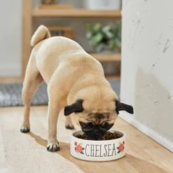 Frisco Flower Ceramic Personalized Dog Bowl 9 Frisco Flower Ceramic Personalized Dog Bowl -Frisco Sales Store 286985 PT2. AC SS1800 V1625764713