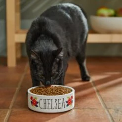 Frisco Flower Ceramic Personalized Dog Bowl 10 Frisco Flower Ceramic Personalized Dog Bowl -Frisco Sales Store 286985 PT3. AC SS1800 V1625764702