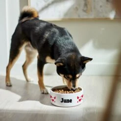 Frisco Hearts Ceramic Personalized Dog Bowl -Frisco Sales Store 286995 PT4. AC SS1800 V1639518111