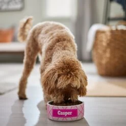 Frisco Personalized Plaid Ceramic Dog Bowl -Frisco Sales Store 287013 PT4. AC SS1800 V1639518088
