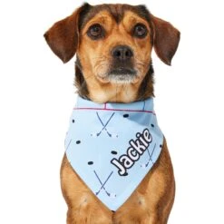 Frisco Ice Hockey Personalized Dog & Cat Bandana -Frisco Sales Store 287048 PT6. AC SS1800 V1623246568