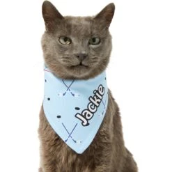 Frisco Ice Hockey Personalized Dog & Cat Bandana -Frisco Sales Store 287048 PT7. AC SS1800 V1623246478