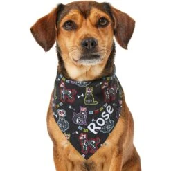 Frisco Dia De Los Muertos Personalized Dog & Cat Bandana -Frisco Sales Store 287052 PT6. AC SS1800 V1623246755