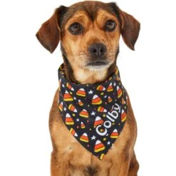 Frisco Candy Corn Personalized Dog & Cat Bandana 15 Frisco Candy Corn Personalized Dog & Cat Bandana -Frisco Sales Store 287056 PT6. AC SS1800 V1623246504