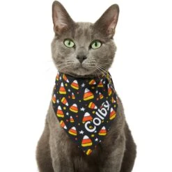 Frisco Candy Corn Personalized Dog & Cat Bandana 16 Frisco Candy Corn Personalized Dog & Cat Bandana -Frisco Sales Store 287056 PT7. AC SS1800 V1623246828