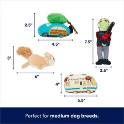 Frisco Holiday House Hide & Seek Puzzle Plush Squeaky Dog Toy -Frisco Sales Store 287083 PT2. AC SS1800 V1695046042