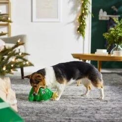 Frisco Holiday Tree Thin Plush Squeaky Dog Toy 7 Frisco Holiday Tree Thin Plush Squeaky Dog Toy -Frisco Sales Store 287167 PT3. AC SS1800 V1632773873