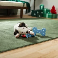 Frisco Blue Bundle Latex Squeaky Puppy Toy, 2 Count -Frisco Sales Store 287185 PT3. AC SS1800 V1632775643