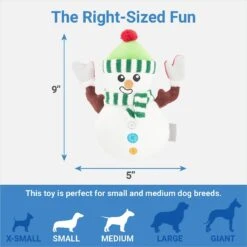 Frisco Holiday Naughty Or Nice Snowman Reversible Plush Squeaky Dog Toy 6 Frisco Holiday Naughty Or Nice Snowman Reversible Plush Squeaky Dog Toy -Frisco Sales Store 287219 PT2. AC SS1800 V1637704003