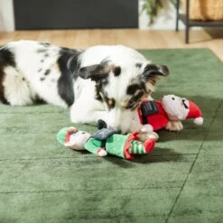 Frisco Holiday Bad Santa & Elf Plush Squeaky Dog Toy 5 Frisco Holiday Bad Santa & Elf Plush Squeaky Dog Toy -Frisco Sales Store 287223 PT3. AC SS1800 V1632773570