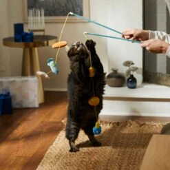 Frisco Holiday Hanukkah Teaser Cat Toy With Catnip, 2 Count 7 Frisco Holiday Hanukkah Teaser Cat Toy With Catnip, 2 Count -Frisco Sales Store 287277 PT3. AC SS1800 V1632771712