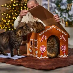 Frisco Holiday Gingerbread House Cardboard Cat House Cat Toy -Frisco Sales Store 287289 PT3. AC SS1800 V1695046487