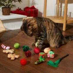 Frisco Holiday Festive Red Variety Pack Gift Box Cat Toy With Catnip, 14 Count -Frisco Sales Store 287305 PT3. AC SS1800 V1632773836