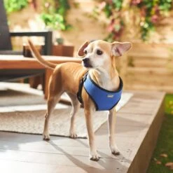 Frisco Padded Step-In Harness 9 Frisco Padded Step-In Harness -Frisco Sales Store 287451 PT8. AC SS1800 V1631669389