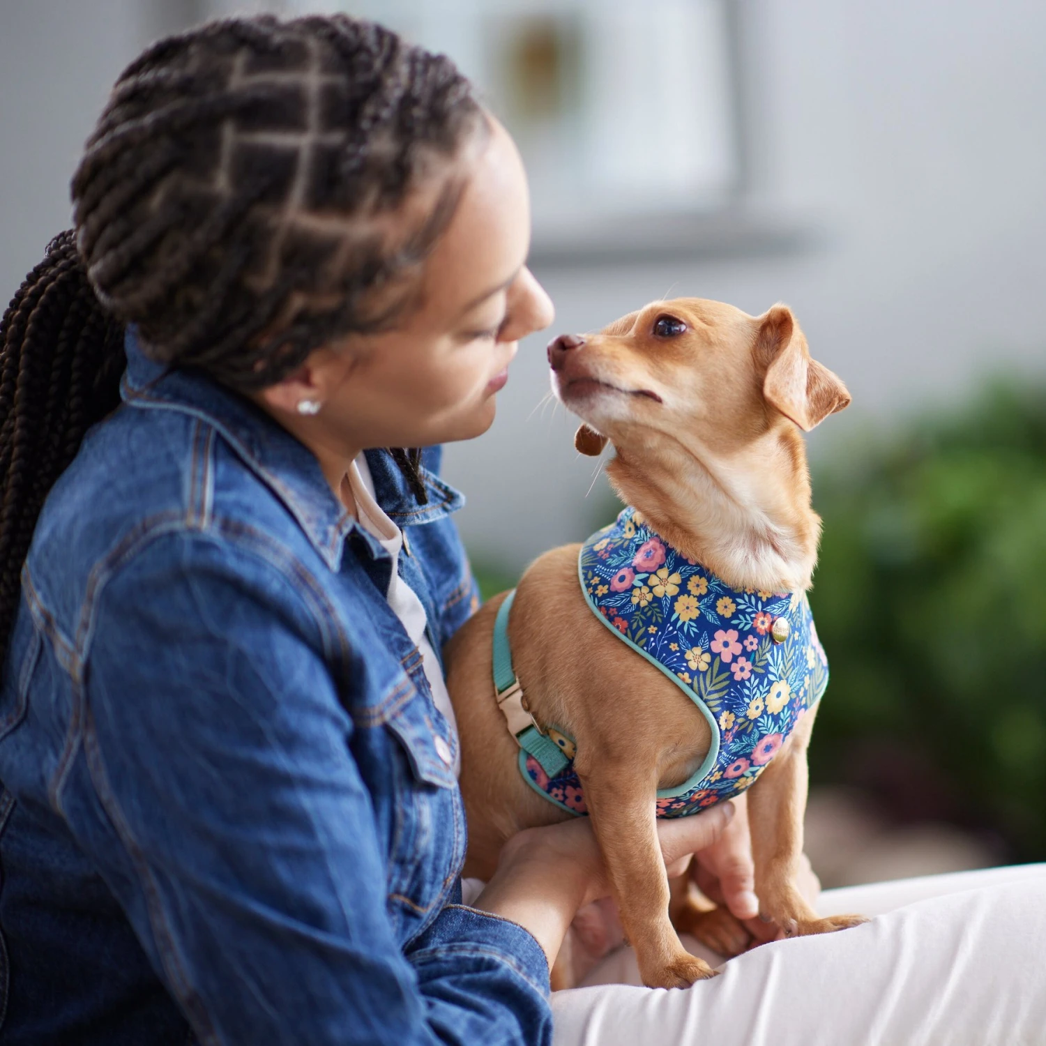 Frisco Fashion Over-The-Head Harness, Tropical Floral 5 Frisco Fashion Over-The-Head Harness, Tropical Floral - Image 5