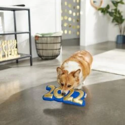 Frisco New Year's Eve 2022 Plush Squeaky Dog Toy 7 Frisco New Year's Eve 2022 Plush Squeaky Dog Toy -Frisco Sales Store 288476 PT3. AC SS1800 V1638287927