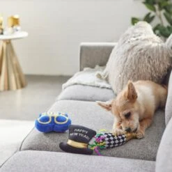Frisco New Year's Eve Party Essentials Plush Squeaky Dog Toy 5 Frisco New Year's Eve Party Essentials Plush Squeaky Dog Toy -Frisco Sales Store 288484 PT3. AC SS1800 V1638289955