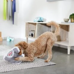 Frisco Scale Plush Squeaky Dog Toy -Frisco Sales Store 288911 PT3. AC SS1800 V1638289585