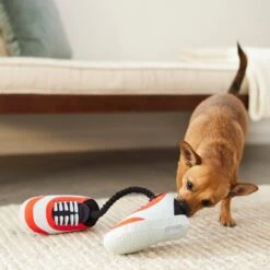Frisco Running Shoes Plush With Rope Dog Toy 5 Frisco Running Shoes Plush With Rope Dog Toy -Frisco Sales Store 288915 PT3. AC SS1800 V1638292478