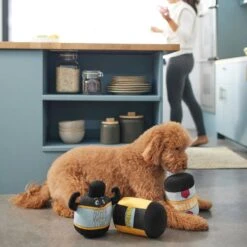 Frisco New Year, New Me Protein Powder Plush Squeaky Dog Toy 5 Frisco New Year, New Me Protein Powder Plush Squeaky Dog Toy -Frisco Sales Store 288925 PT3. AC SS1800 V1638289658