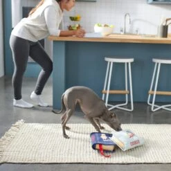 Frisco Cookbooks Plush Squeaky Dog Toy, 2 Count -Frisco Sales Store 288937 PT3. AC SS1800 V1638287852