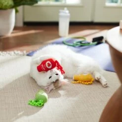 Frisco New Year, New Me Juice Cleanse Plush Cat Toy With Catnip -Frisco Sales Store 288957 PT3. AC SS1800 V1638292099