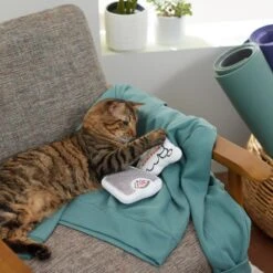 Frisco Scale & Message Bubble Plush Cat Toy With Catnip, 2 Count -Frisco Sales Store 288959 PT3. AC SS1800 V1638288401