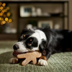 Frisco Nylon Gingerbread Dog Chew Toy, Beef Flavor, Medium -Frisco Sales Store 291385 PT3. AC SS1800 V1668108316