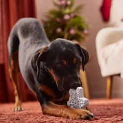 Frisco Holiday Nylon Snowflake Dog Chew Toy, Peanut Butter Flavor, Medium -Frisco Sales Store 291387 PT3. AC SS1800 V1629306692