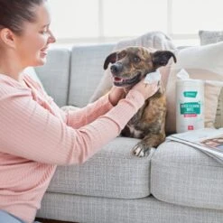 Frisco Gentle Cleaning Waterless Grooming Wipes For Puppies & Kittens, Green Tea Scent 10 Frisco Gentle Cleaning Waterless Grooming Wipes For Puppies & Kittens, Green Tea Scent -Frisco Sales Store 291592 PT4. AC SS1800 V1627306695