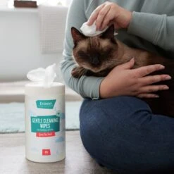 Frisco Gentle Cleaning Waterless Grooming Wipes For Puppies & Kittens, Green Tea Scent 11 Frisco Gentle Cleaning Waterless Grooming Wipes For Puppies & Kittens, Green Tea Scent -Frisco Sales Store 291592 PT5. AC SS1800 V1627306905