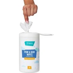 Frisco Deodorizing Paw & Bum Waterless Grooming Wipes For Dogs & Cats 9 Frisco Deodorizing Paw & Bum Waterless Grooming Wipes For Dogs & Cats -Frisco Sales Store 291593 PT3. AC SS1800 V1627306915