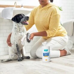 Frisco Deodorizing Paw & Bum Waterless Grooming Wipes For Dogs & Cats 10 Frisco Deodorizing Paw & Bum Waterless Grooming Wipes For Dogs & Cats -Frisco Sales Store 291593 PT4. AC SS1800 V1627654025