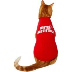 Frisco Mister Irresistible Dog & Cat T-Shirt 9 Frisco Mister Irresistible Dog & Cat T-Shirt -Frisco Sales Store 292026 PT2. AC SS1800 V1637268745