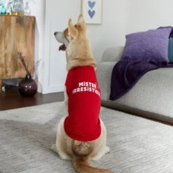 Frisco Mister Irresistible Dog & Cat T-Shirt 12 Frisco Mister Irresistible Dog & Cat T-Shirt -Frisco Sales Store 292026 PT6. AC SS1800 V1701797008