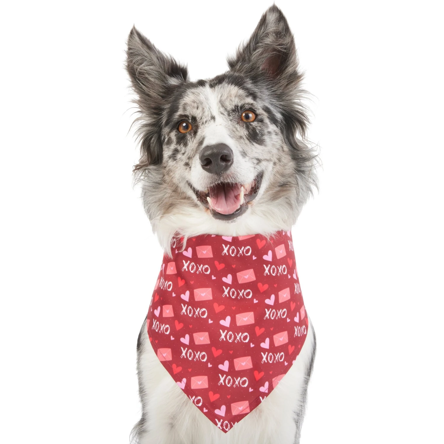 Frisco Love Letters Dog & Cat Bandana 1 Frisco Love Letters Dog & Cat Bandana